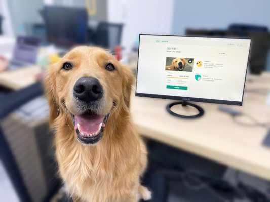 OneDegree, la startup de insurtech de Hong Kong, lanza su primer producto, cobertura médica para mascotas