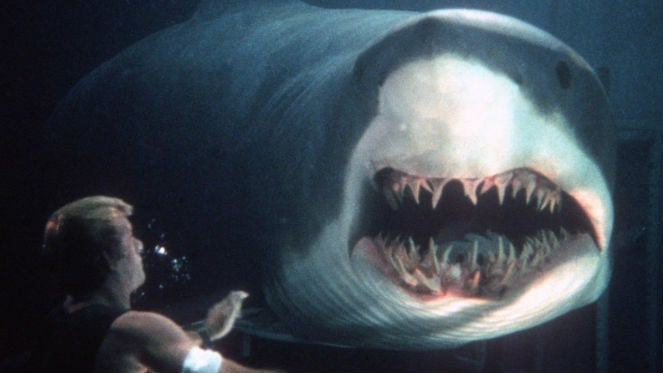 profundo azul marino tiburón thomas jane secuela