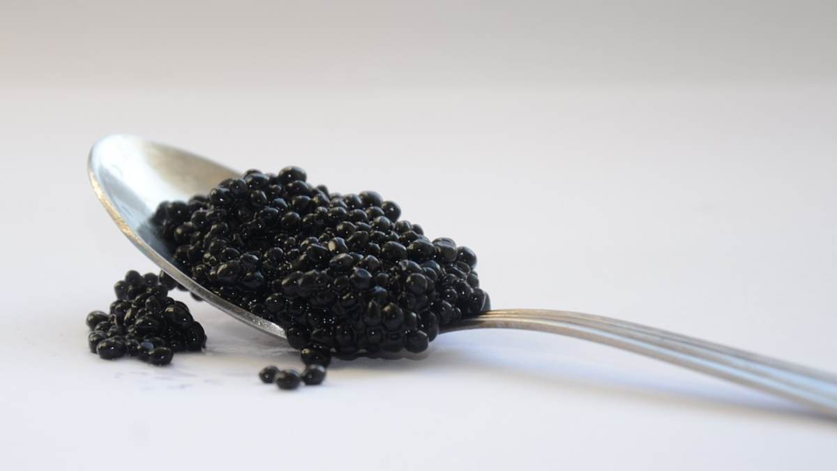 Cosas que no sabes del caviar