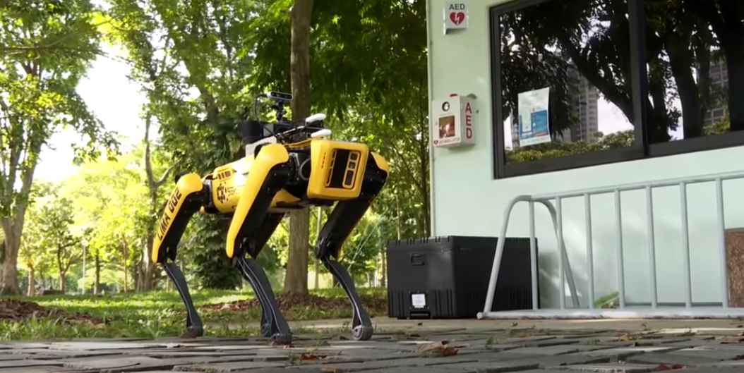 Detectar el perro robot, ahora un narcócrata de distancia social, es freaking people out
