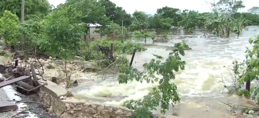 Inundaciones en Yucatán, consecuencia del cambio climático: Greenpeace
