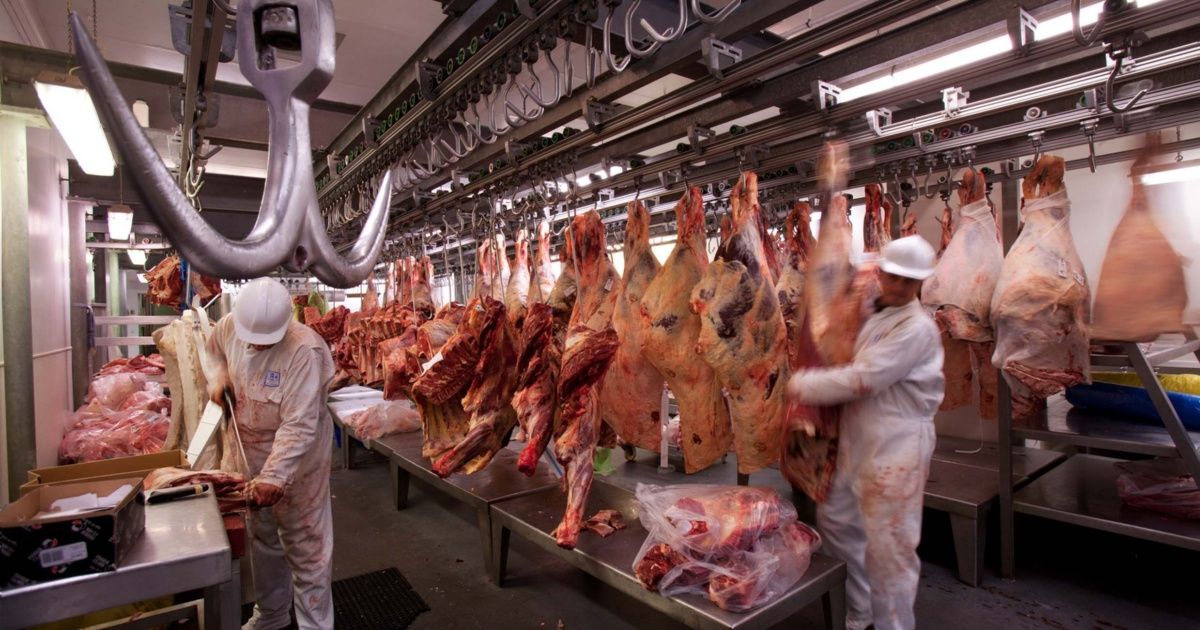 Por qué el coronavirus avanza rápido en la industria de la carne en otros países y no en Argentina