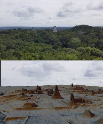 Vista de Tikal, arriba cubierta por la selva, abajo descubierta por lídar.