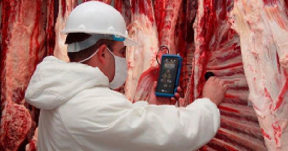 Coronavirus en Brasil: más de 1000 casos en dos productoras de carne