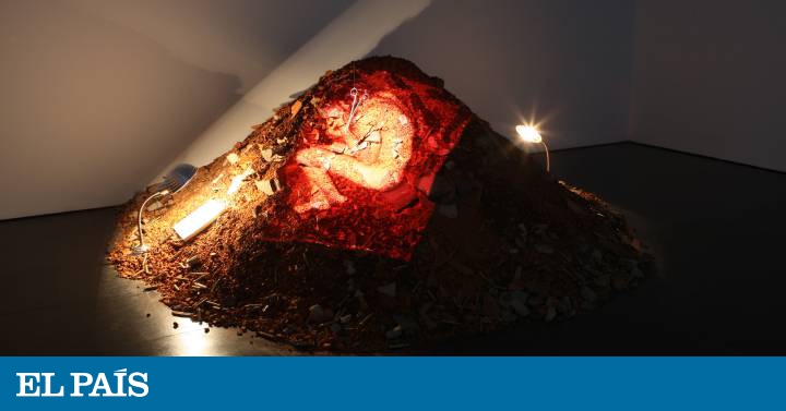 Francesc Torres: un pecio en el museo