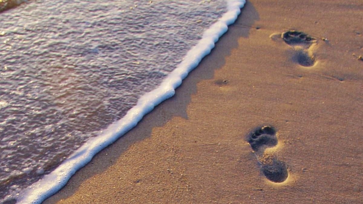 Descubre los increíbles beneficios de caminar por la playa