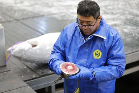 un experto en calidad del atún evalúa la calidad del atún