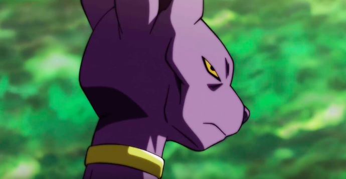 dbs beerus