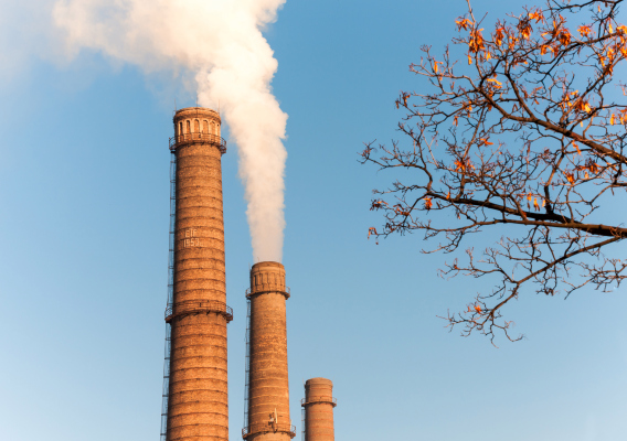 CarbonChain utiliza IA para determinar el perfil de emisiones de los mayores contaminadores del mundo