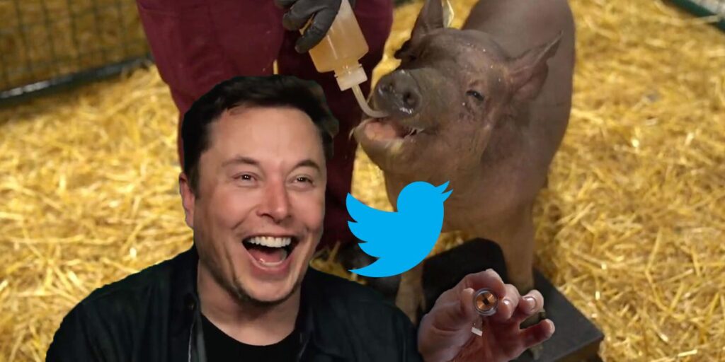 Cómo reaccionó Twitter a la demostración del cerebro Neuralink de Elon Musk