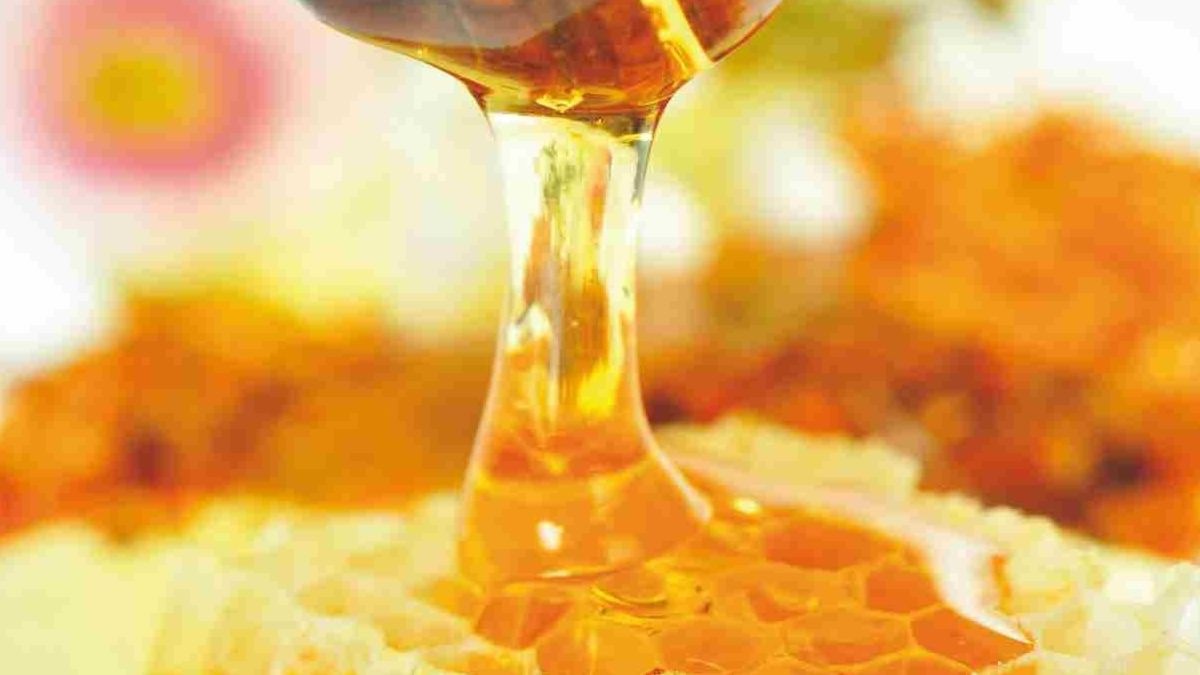 Descubre los increíbles beneficios de la miel para el pelo