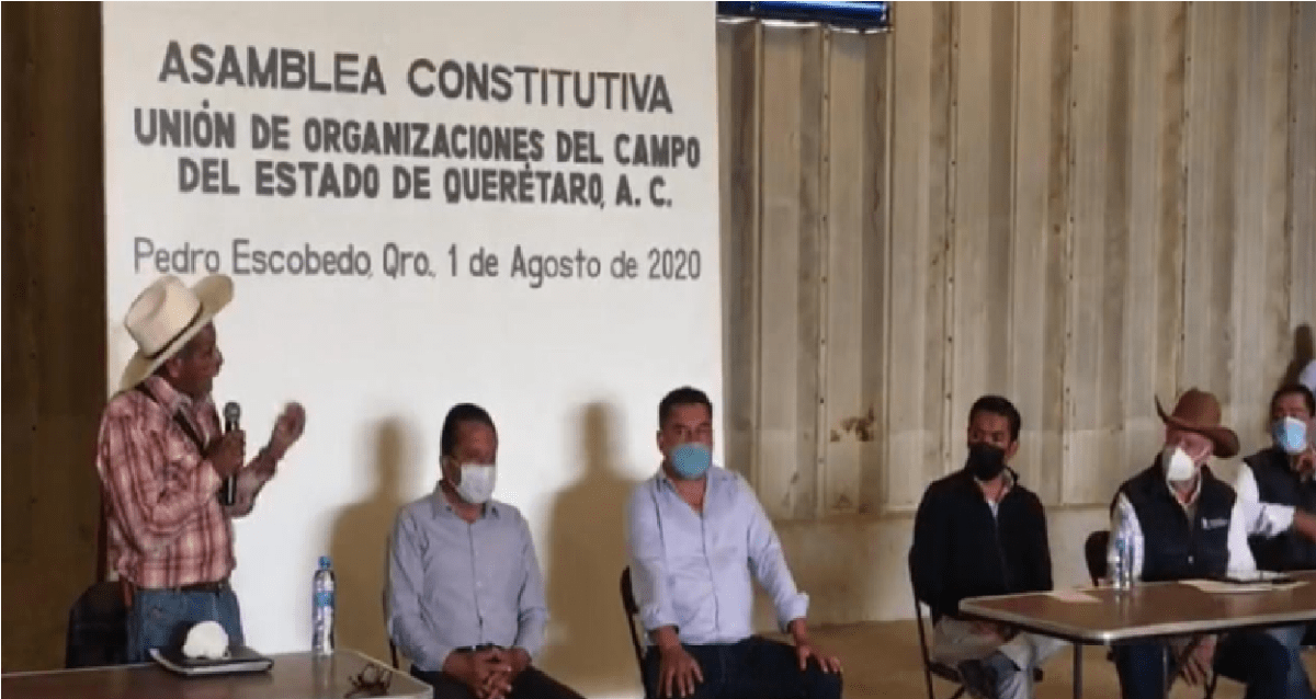 Nace “Unión de Organizaciones del Campo del Estado de Querétaro A.C.”, integradas 45 organizaciones de 11 municipios