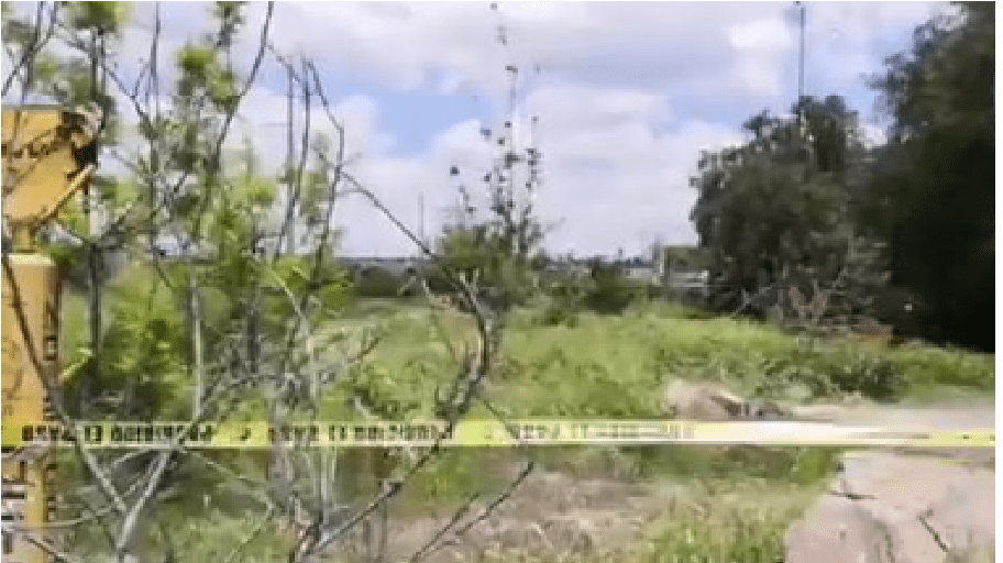 Se suicida un joven, lo hallan colgado de árbol, sobre camellón de Prolongación Bernardo Quintana, a la vista de todo mundo