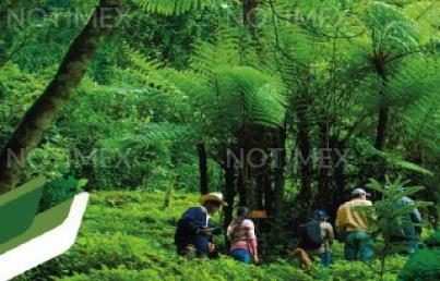 Destaca Panamá inversión en cuidado forestal y vida silvestre