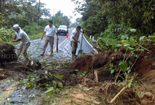 Lluvias dejan afectaciones en distintas zonas de Chiapas