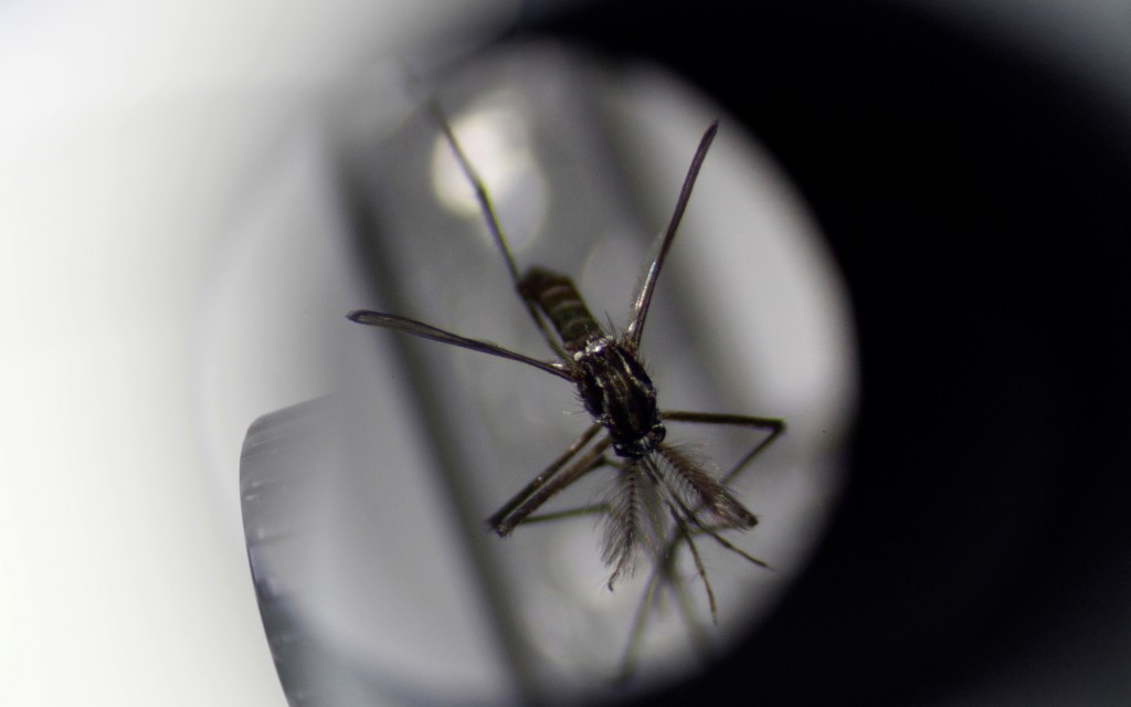 Estudio sugiere que el dengue podría dar cierta inmunidad contra Covid-19