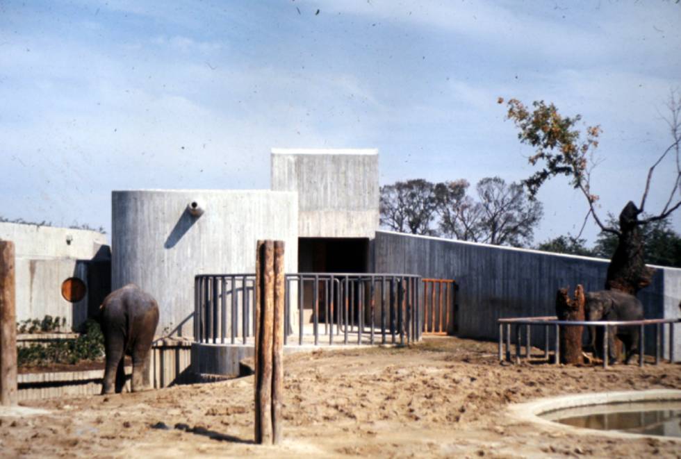 zoo madrid carvajal