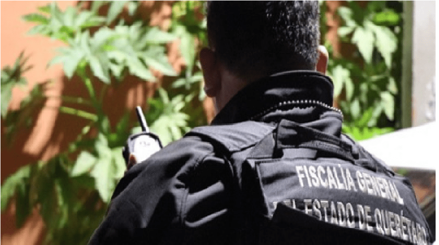 Decomisan 170 kg de marihuana en Querétaro y San Juan del Río; hay 6 detenidos