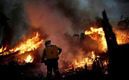 Incendios en Amazonas brasileño probablemente son los peores en 10 años: Científico