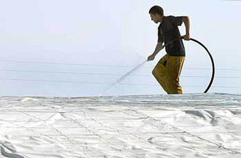 Un temporero trabaja sobre un invernadero en El Ejido (Almería), en 2019.