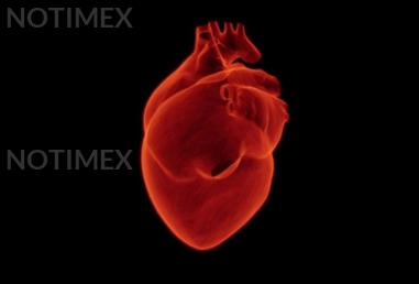 Mujeres con menor riesgo de enfermedades cardiovasculares: estudio