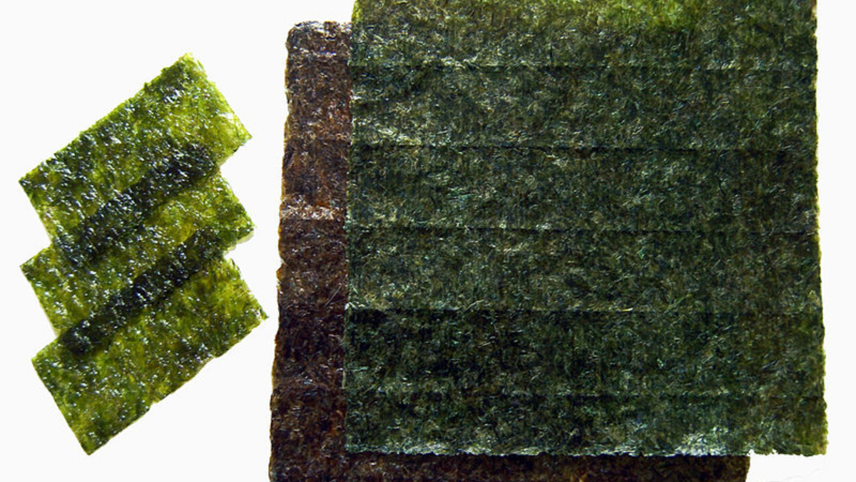 ¿Qué son las algas nori? Descubre sus beneficios