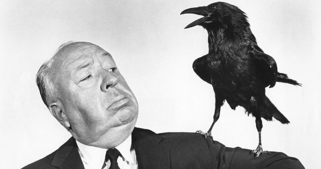 10 cosas que nunca supiste sobre los pájaros de Alfred Hitchcock