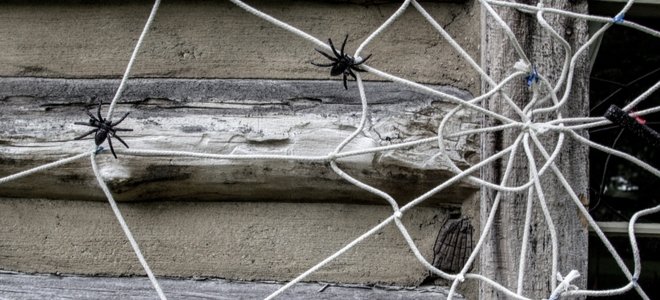 cadena de telaraña con arañas