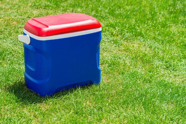 Un refrigerador azul con un top rojo sentado en la hierba. 