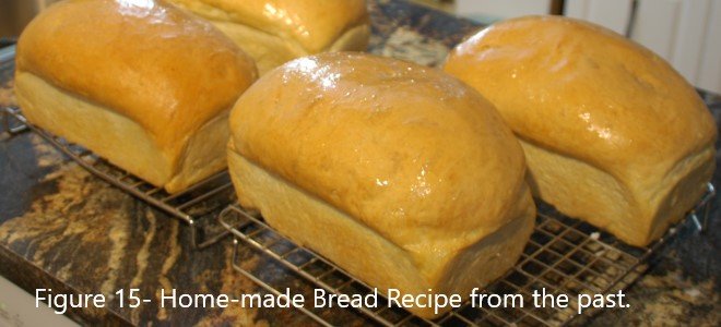 poner masa de pan en el horno para hornear