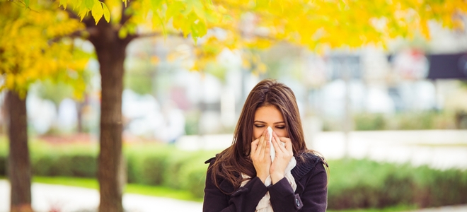 Combatiendo los alérgenos de interior en otoño |  LaNetaNeta.com