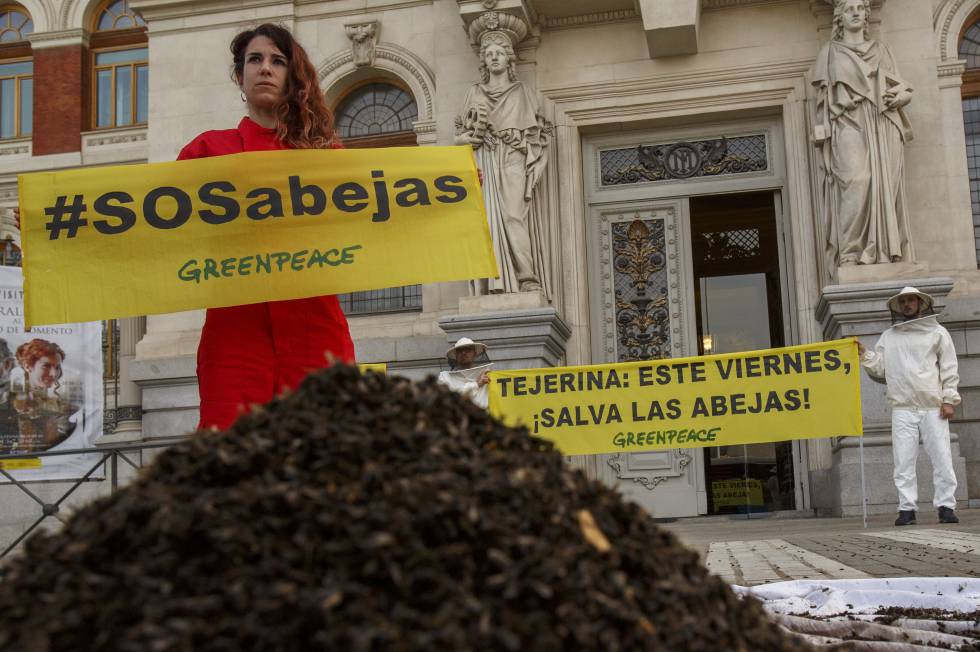 Activistas de Greenpeace colocan abejas muertas en la puerta del Ministerio de Agricultura, en Madrid, el pasado martes.