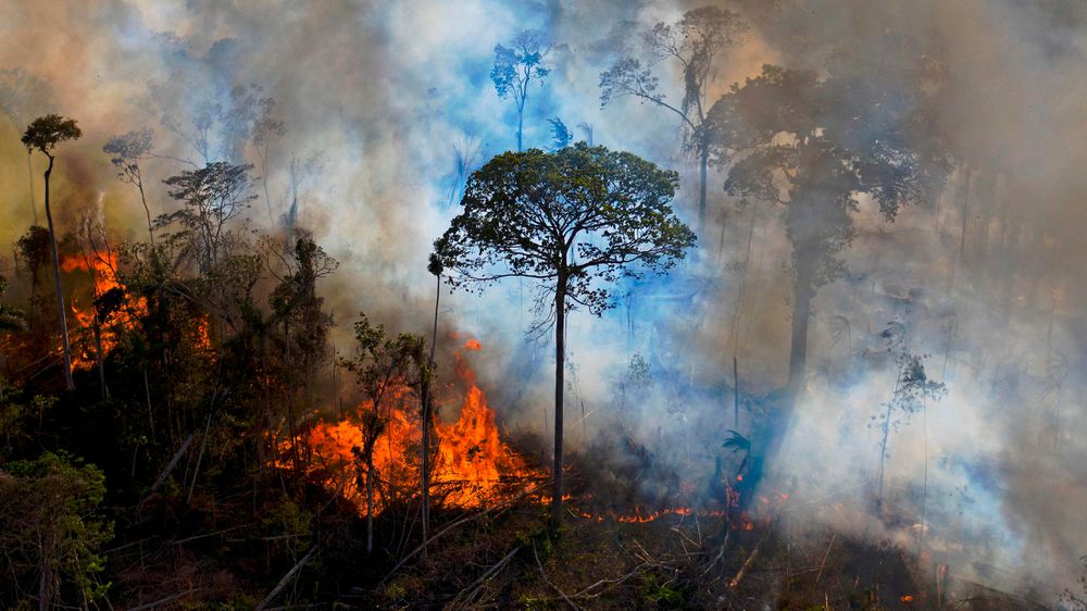 La cifra de alertas por deforestación en el Amazonas en septiembre es la segunda peor desde 2015