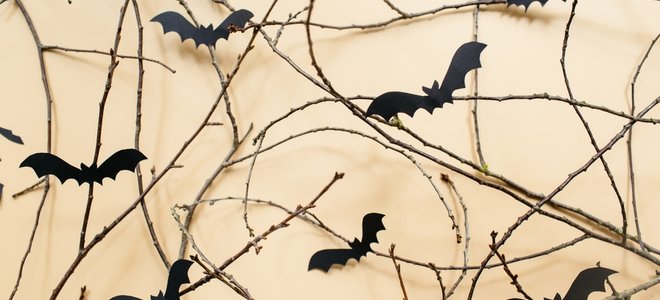 Decoración barata de halloween con palos y murciélagos.
