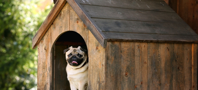 Cómo construir un techo a dos aguas para la casa de tu perro