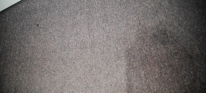 Una guía para la eliminación de moho y hongos en alfombras