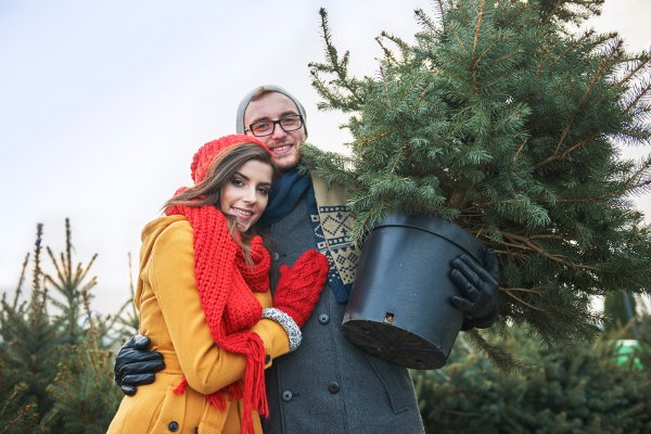 Una pareja sosteniendo un árbol de Navidad en macetas y abrazándose en una granja de árboles de Navidad. 