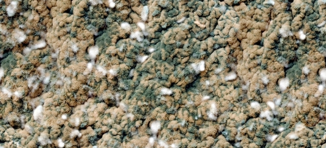 Cómo matar el moho en la alfombra