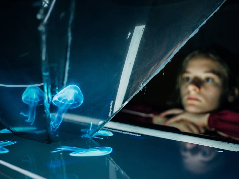 Una alumna observa el holograma de una medusa que se usa para las clases.