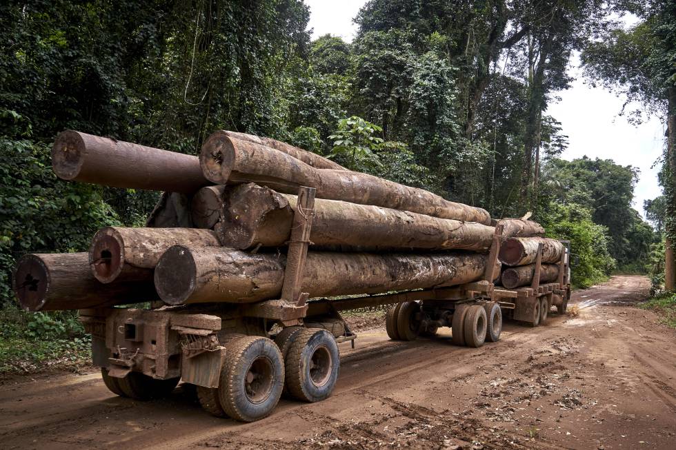 Un camión de gran tonelaje transporta madera a través de una pista limítrofe con el Territorio Indígena Maró.