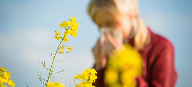 Cómo hacer que su casa sea a prueba de alergias