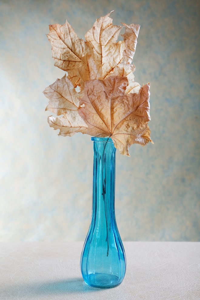 Caen las hojas en un jarrón de vidrio azul. 
