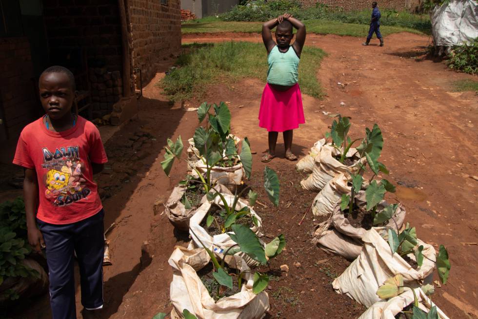 Los niños que viven cerca de la granja Kwagala han aprendido técnicas agrícolas y ahora cultivan sus propias frutas y hortalizas.