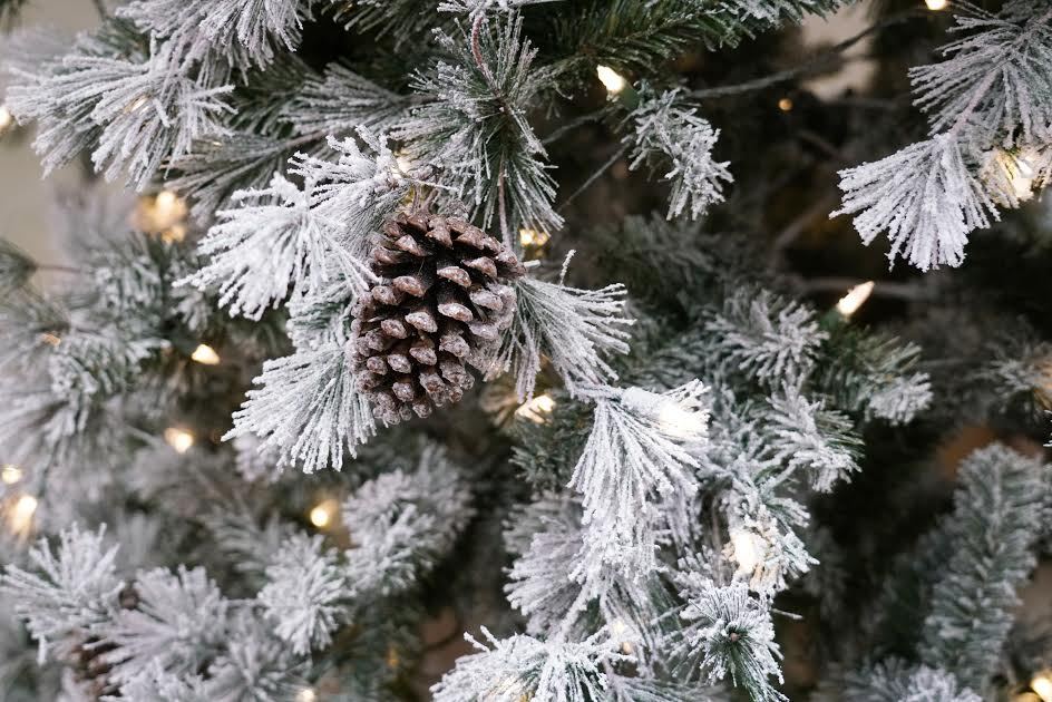 Una imagen de primer plano de un árbol de Navidad en bandada. 