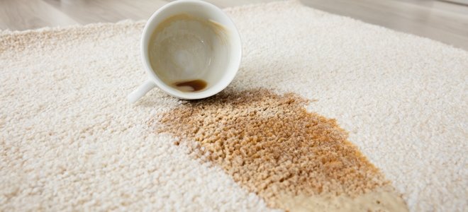 mancha de cafe en la alfombra