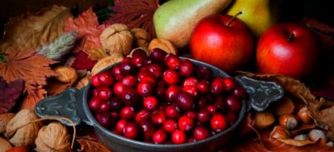 Consejos para planificar un Día de Acción de Gracias vegano o vegetariano
