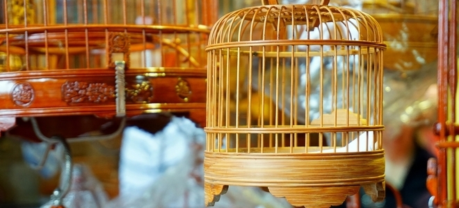Construcción de jaulas redondas para pájaros |  LaNetaNeta.com