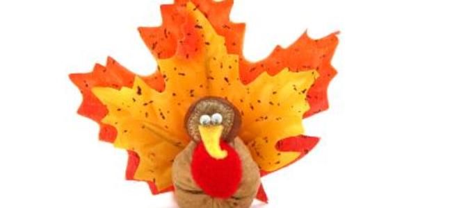 Decoración de bricolaje de Acción de Gracias: estas manualidades de pavo no son para niños