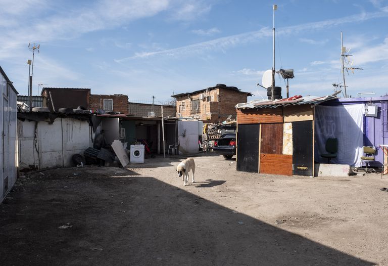 Un perro pasea en medio de las chabolas que hay en la parte trasera de la casa donde el clan de los Kikos tenía su punto de venta de drogas.