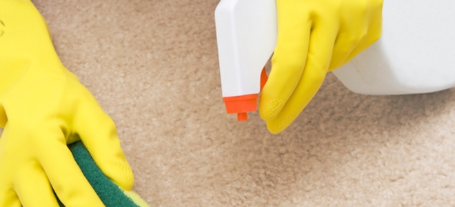 Eliminación de olores de moho de alfombras |  LaNetaNeta.com